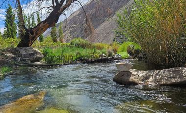 Terreno de 4.75 ha, 340 metros de orilla de río. Montegrande, Valle del Elqui. $600 mm