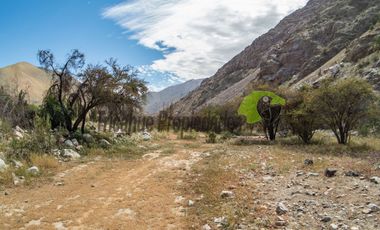 Terreno de 4.75 ha, 340 metros de orilla de río. Montegrande, Valle del Elqui. $600 mm