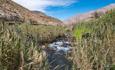 Terreno de 4.75 ha, 340 metros de orilla de río. Montegrande, Valle del Elqui. $600 mm