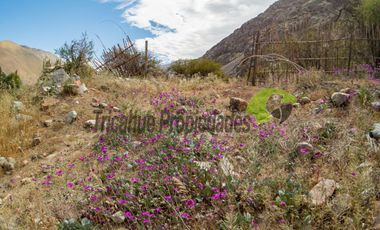Terreno de 4.75 ha, 340 metros de orilla de río. Montegrande, Valle del Elqui. $600 mm
