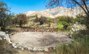 Terreno de 4.75 ha, 340 metros de orilla de río. Montegrande, Valle del Elqui. $600 mm