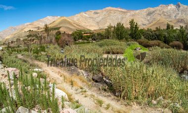Terreno de 4.75 ha, 340 metros de orilla de río. Montegrande, Valle del Elqui. $600 mm