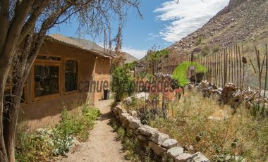 Terreno de 4.75 ha, 340 metros de orilla de río. Montegrande, Valle del Elqui. $600 mm