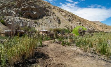Terreno de 4.75 ha, 340 metros de orilla de río. Montegrande, Valle del Elqui. $600 mm
