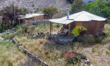 Terreno de 4.75 ha, 340 metros de orilla de río. Montegrande, Valle del Elqui. $600 mm