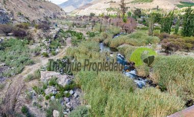 Terreno de 4.75 ha, 340 metros de orilla de río. Montegrande, Valle del Elqui. $600 mm