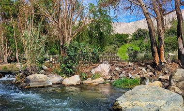 Terreno de 4.75 ha, 340 metros de orilla de río. Montegrande, Valle del Elqui. $600 mm