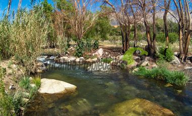 Terreno de 4.75 ha, 340 metros de orilla de río. Montegrande, Valle del Elqui. $600 mm