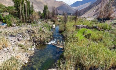 Terreno de 4.75 ha, 340 metros de orilla de río. Montegrande, Valle del Elqui. $600 mm