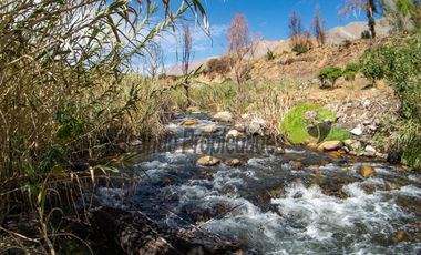 Terreno de 4.75 ha, 340 metros de orilla de río. Montegrande, Valle del Elqui. $600 mm