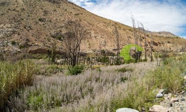 Terreno de 4.75 ha, 340 metros de orilla de río. Montegrande, Valle del Elqui. $600 mm