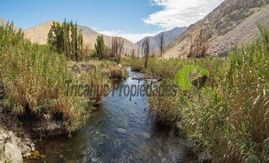 Terreno de 4.75 ha, 340 metros de orilla de río. Montegrande, Valle del Elqui. $600 mm