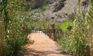 Terreno de 4.75 ha, 340 metros de orilla de río. Montegrande, Valle del Elqui. $600 mm