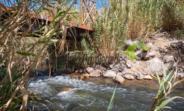 Terreno de 4.75 ha, 340 metros de orilla de río. Montegrande, Valle del Elqui. $600 mm