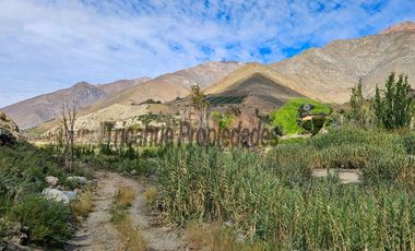 Terreno de 4.75 ha, 340 metros de orilla de río. Montegrande, Valle del Elqui. $600 mm