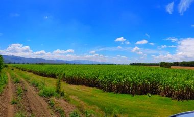 Finca en venta en Guacarí, Guacarí
