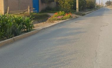 VENTA DE TERRENO CARABAYLLO 105 M2 LA ARBOLEDA 1 ETAPA