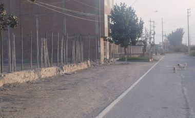 VENTA DE TERRENO CARABAYLLO 105 M2 LA ARBOLEDA 1 ETAPA