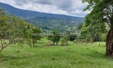 FINCA EN VENTA, LA MESA - CUNDINAMARCA