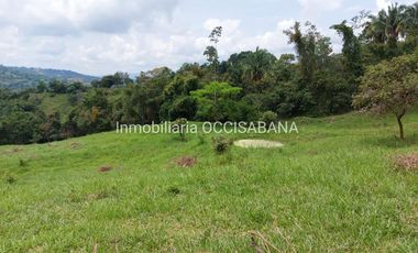 FINCA EN VENTA, LA MESA - CUNDINAMARCA