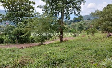 FINCA EN VENTA, LA MESA - CUNDINAMARCA