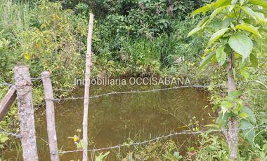 FINCA EN VENTA, LA MESA - CUNDINAMARCA
