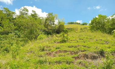 LOTE EN VENTA SECTOR SOPETRAN ANTIOQUIA