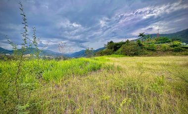 LOTE EN VENTA SECTOR SOPETRAN ANTIOQUIA
