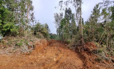 Parcela Sector Los Guindos con Estero