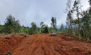Parcela Sector Los Guindos con Estero