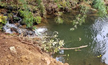 Parcela Sector Los Guindos con Estero