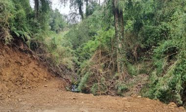Parcela Sector Los Guindos con Estero