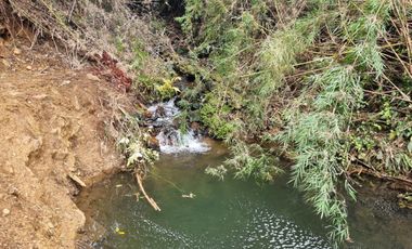 Parcela Sector Los Guindos con Estero