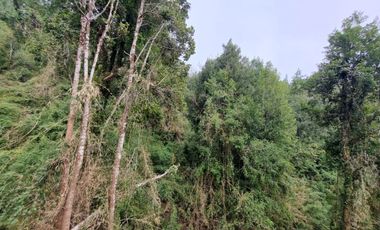 Parcela Sector Los Guindos con Estero