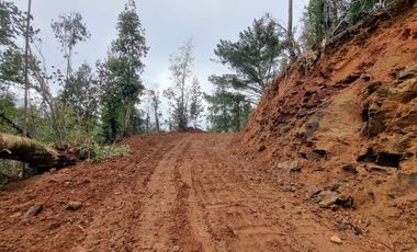 Parcela Sector Los Guindos con Estero