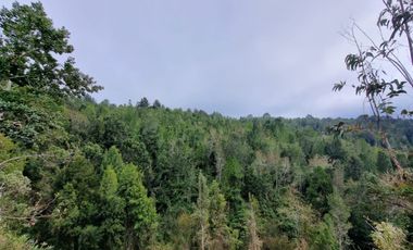 Parcela Sector Los Guindos con Estero