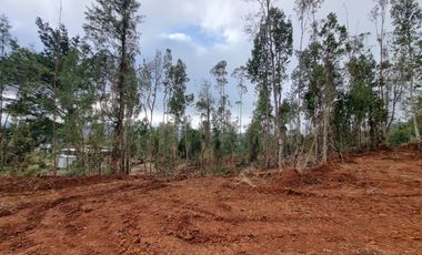 Parcela Sector Los Guindos con Estero