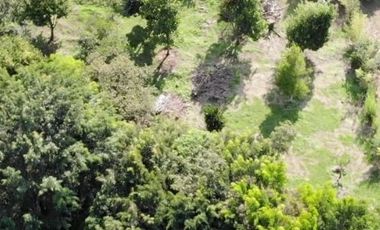 Propiedad Única en Sabaneta: Potencial Turístico, Comercial y Residencial