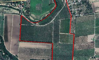 Venta de terreno/huerta en Llera