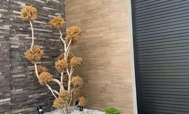 RENTA | CASA MODERNA CON ALBERCA FRACCIONAMIENTO COSTA DE ORO