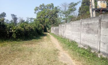 Gudang Luas 727 M2 LT 10367 M2 (Jual atau Sewa), Curugrendeng, Jalan Cagak, Subang.