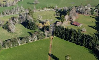 Excepcional campo ganadero de 98,23 hectáreas en Osorno