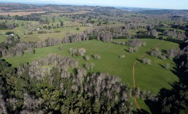 Excepcional campo ganadero de 98,23 hectáreas en Osorno