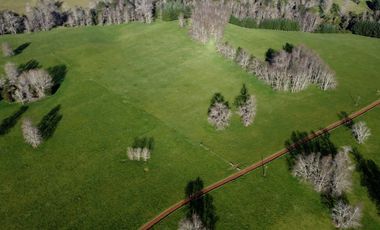 Excepcional campo ganadero de 98,23 hectáreas en Osorno