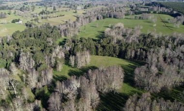Excepcional campo ganadero de 98,23 hectáreas en Osorno