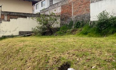 Vendo casa con terreno en el sector del Parque Metropolitano