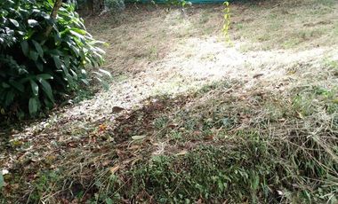 Lote en Venta, Vereda San Antonio, Circasia, Quindio