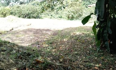 Lote en Venta, Vereda San Antonio, Circasia, Quindio