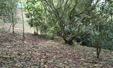 Lote en Venta, Vereda San Antonio, Circasia, Quindio