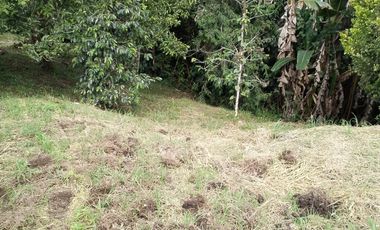 Lote en Venta, Vereda San Antonio, Circasia, Quindio